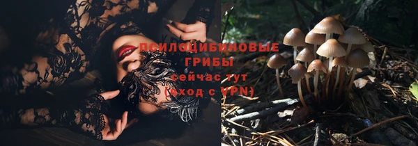 хмурый Надым