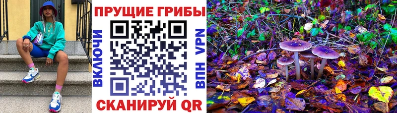 Купить  Альметьевск  Псилоцибиновые грибы GOLDEN TEACHER 