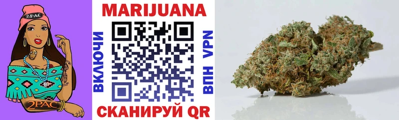 Купить закладки  Альметьевск  Конопля ГИДРОПОН 